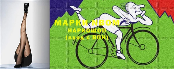 стафф Медногорск