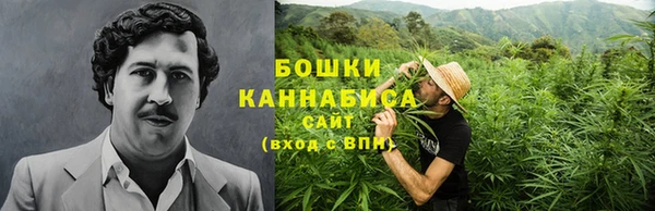 стафф Медногорск