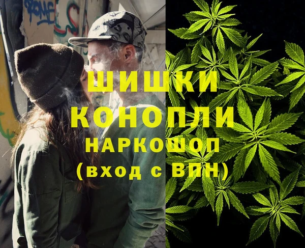стафф Медногорск
